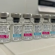 Dengue: distribuição de doses pode começar na 2ª semana de fevereiro