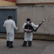 Dengue: Viçosa continua com ações de intensificação no combate ao Aedes aegypit
