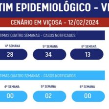 Viçosa Registra 93 Casos de Dengue em Quatro Semanas
