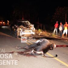Bois na estrada provocam acidente na rodovia que liga Viçosa/Paula Cândido