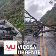 Motorista morre ao bater em árvore e motocicleta na rodovia Viçosa/Porto Firme.