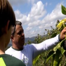 Alunos de Nova Lima viram jurados de pratos a serem incluídos na alimentação escolar