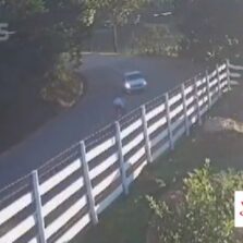 Motoqueiro Morre em Acidente na Rodovia Ervália/Muriaé