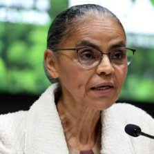 Alertas de desmatamento na Amazônia caem 46% em um ano