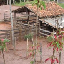 Programa estadual vai beneficiar propriedades rurais atingidas pelo rompimento da barragem em Mariana