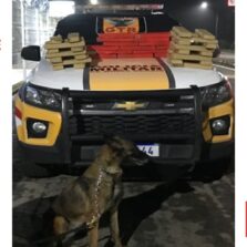 Moradores de Juiz de Fora são presos transportando drogas para Viçosa