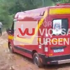 Trabalhador morre após ser atingido por árvore em Paula Cândido