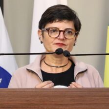 Vereadores reconhecem a expressão ‘vira-lata caramelo’ como manifestação cultural imaterial