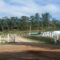 VEREADORES PROPÕEM BARRAR LIXO DE OUTROS MUNICÍPIOS EM UBÁ, MAS PREFEITURA NEGA PLANO PARA ATERRO SANITÁRIO