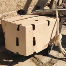 Abatedouro clandestino é fechado em Viçosa