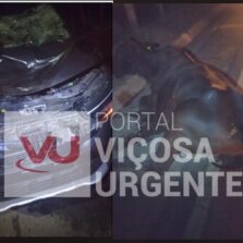 Motorista e família ficam feridos após atropelar boi na rodovia LMG-850, em Ubá