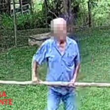 Homem é preso após matar cachorro a pauladas em Teixeiras