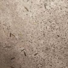 Homem de 27 anos é executado a tiros na Vila Casal em Ubá