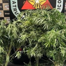 Polícia Militar prende suspeitos por tráfico de drogas e corrupção de menores em Cajuri