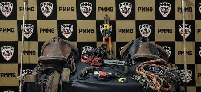 Ponte Nova / Visconde do Rio Branco: Foragido é preso por receptação após furto e morte de animais l