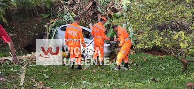 Motorista fica ferido após acidente na rodovia Viçosa/Paula Cândido