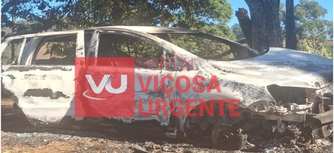 Carro roubado durante assalto em Araponga é encontrado queimado na zona rural de Ervália
